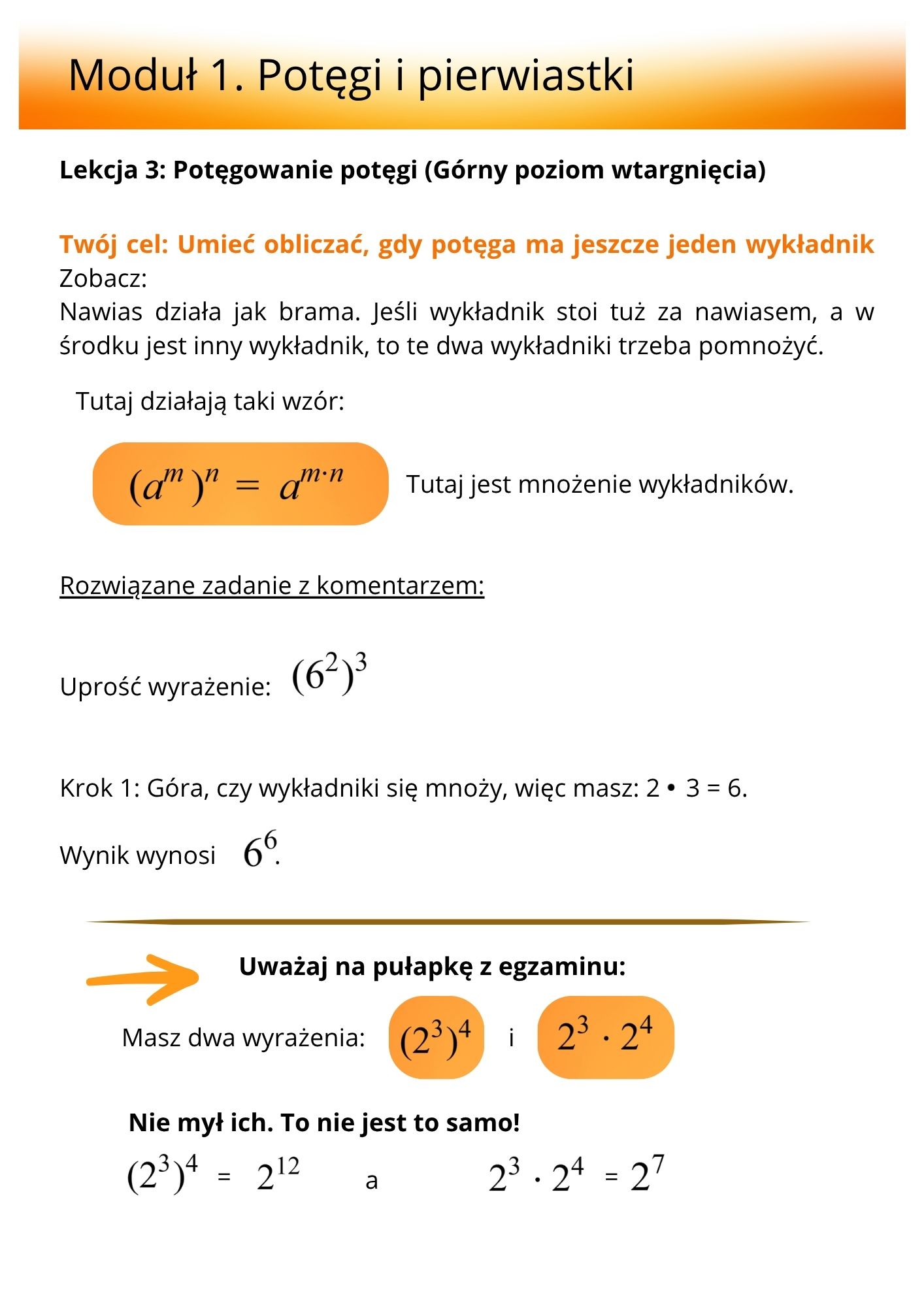 Edubook PDF SOS Zestaw Ratunkowy + rozwiązania zadań na wideo - obrazek 3